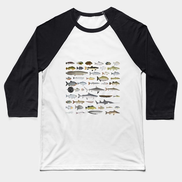 Amazon River Basin Fish Group Baseball T-Shirt by FishFolkArt